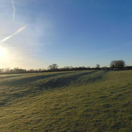 Fieldsview Wrexham Exterior photo